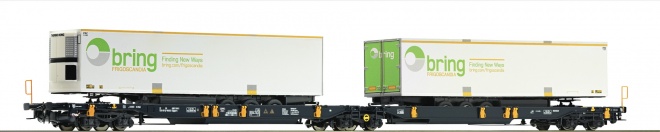 Articulated intermodal car of  WASCOSA<br /><a href='images/pictures/Roco/Roco-67413.jpg' target='_blank'>Full size image</a>
